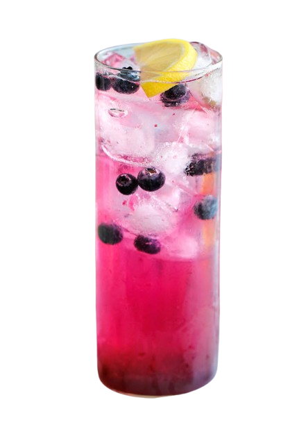 blueberrylemonade