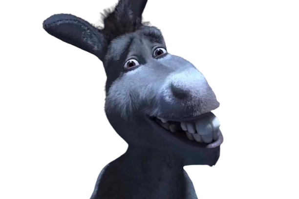 donkeypunch