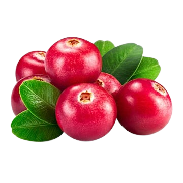 cranberry