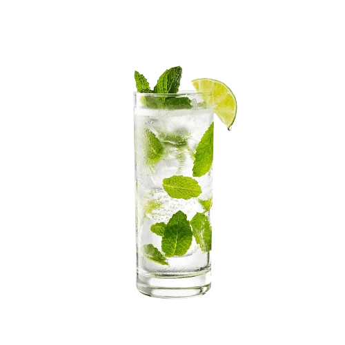 Virgin Mojito