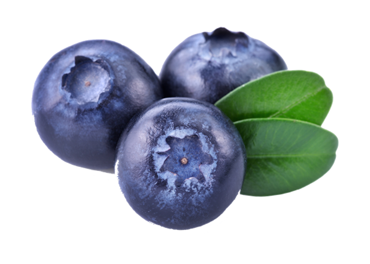 blueberry